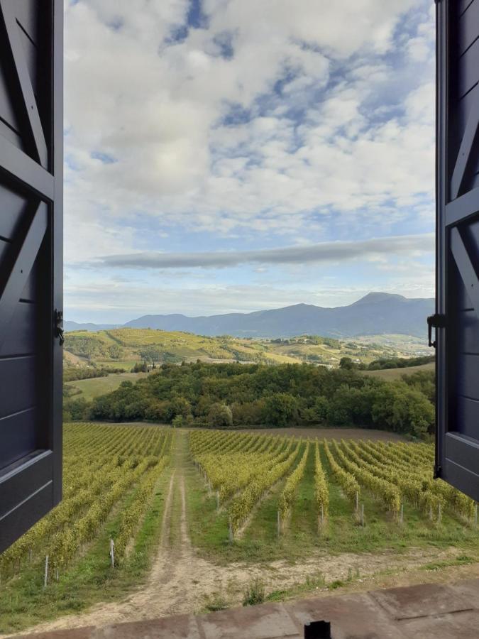 Tenuta Grimaldi Wine Resort Matelica Exteriér fotografie