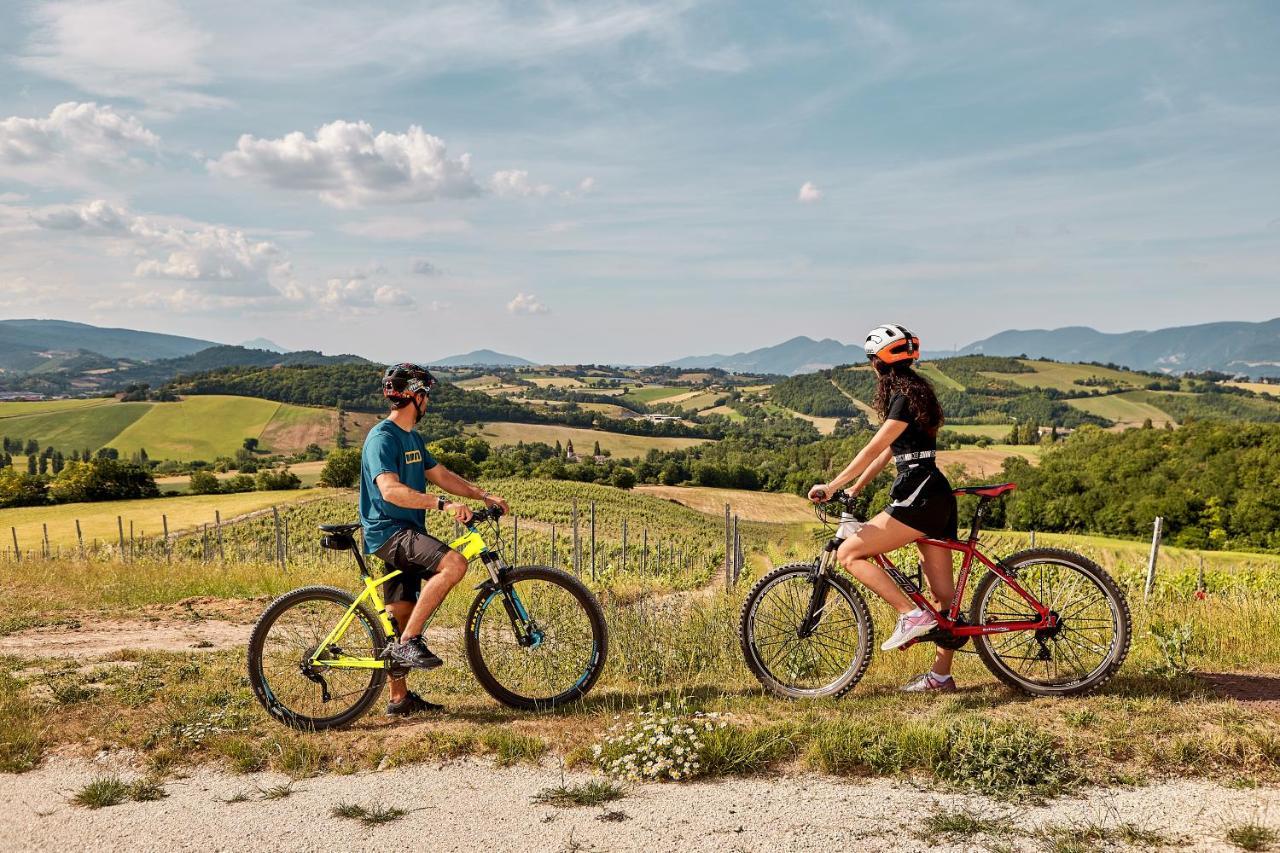 Tenuta Grimaldi Wine Resort Matelica Exteriér fotografie