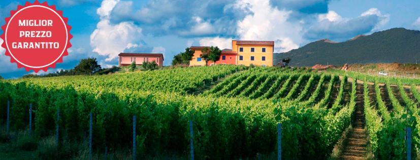 Tenuta Grimaldi Wine Resort Matelica Exteriér fotografie